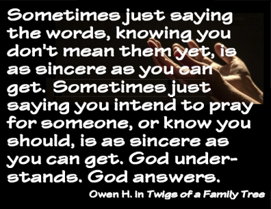 Sometimes just saying the words, knowing you don't mean them yet, is as sincere as you can get. Sometimes just saying you intend to pray for someone, or know you should, is as sincere as you can get. God understands. God answers. #Prayer #Sincerity #OwenH